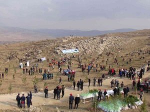 Van’da 40 bin ağaç toprakla buluşturuldu