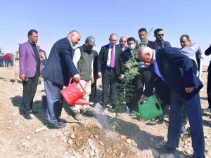 Ceylanpınar’da 23 bin fidan toprakla buluştu