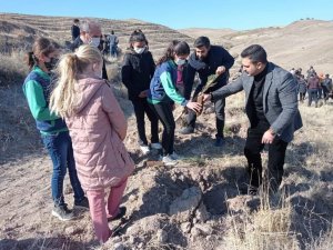 Malatya’nın ilçeleri de yeşilleniyor