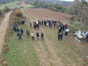 Sinop’ta ‘Milli Ağaçlandırma Günü’nde kestane ormanına ilk fidanlar dikildi