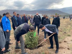 Güroymak’ta fidan dikimi
