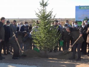 Tarım ve Orman Bakan Yardımcısı Özkaldı Kırklareli’de vatandaşlarla fidan dikti