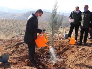 Malatya’da bir yılda 2 milyon 250 bin fidan toprakla buluşacak