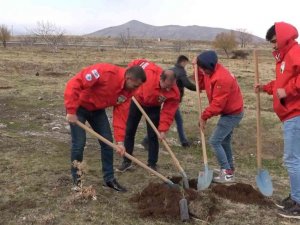 Tatvan’da fidan dikimi