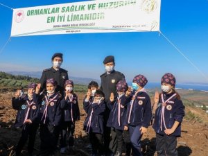 Bursa İl Jandarma Komutanlığı 6 bin fidanı toprakla buluşturdu