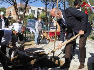 Milli Ağaçlandırma Günü’nde Kuyucak’ta fidanlar toprakla buluştu