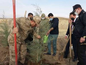 Erciş’te fidan dikimi