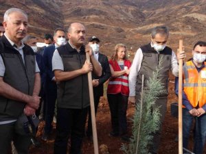 Bakan Yardımcısı Metin, Marmaris’teki fidan dikme törenine katıldı