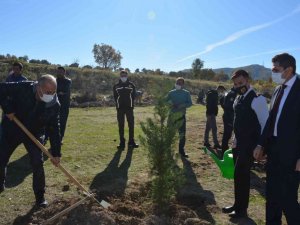 Selendi’de 300 adet fidan toprakla buluştu