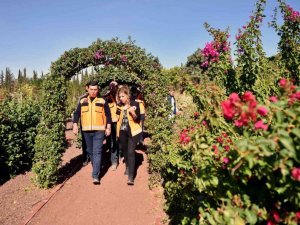 Kepez’den şehrin merkezine botanik bahçe