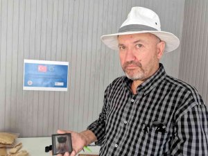 6 bin yıl öncesinden dijitale