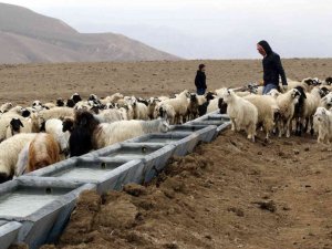 Van Büyükşehir Belediyesinden Başkaleli çiftçilere can suyu