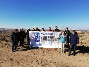 Denetimli Serbestlik personelleri bin tane fidan dikti