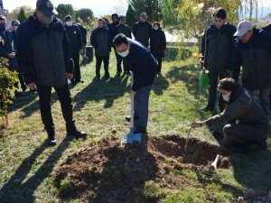 Gediz’de 300 fidan toprakla buluştu