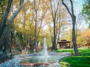 Bakımsız vadi doğal yaşam parkına dönüştürüldü