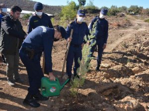 Bozyazı’da bin çam fidanı toprakla buluştu