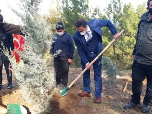 Burhaniye’ de fidanlar toprakla buluşturuldu
