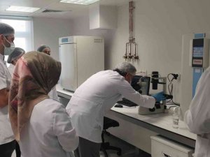 OMÜ’de kök hücre temel uygulama eğitimi