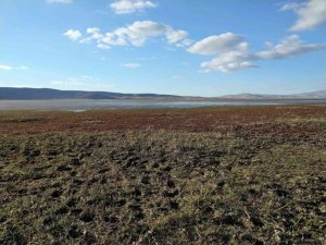 Gölde balık tuttukları yerler şimdi toprak oldu