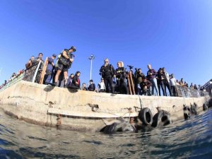 Denizin dibinden elektrik süpürgesi çıktı
