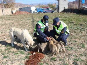 Jandarma ekibinin davranışı yürek ısıttı
