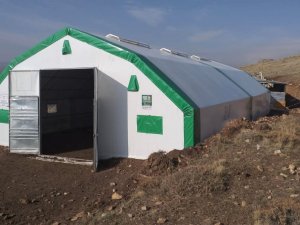 Bayburt’ta küçükbaş hayvan yetiştiriciliği gelişmeye devam ediyor