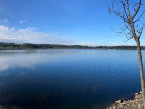 Yosunlardan temizlenen Pelitözü Göleti eski haline döndü