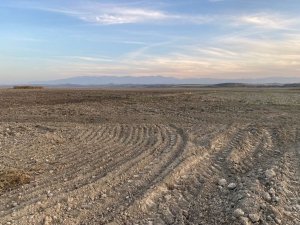 Kuruyan gölü tarım arazisine döndürmeye çalışıyorlar