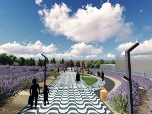 İzmit’e lavanta parkı yapılacak