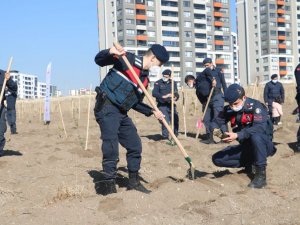 Ankara İl Jandarma Komutanlığı tarafından “Geleceğe Nefes Dünyaya Nefes” etkinliği