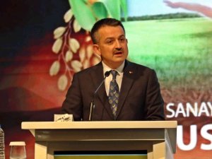 Bakan Pakdemirli’den muhalif kesimin Hollanda örneğine cevap