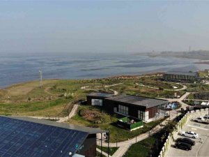 81 vilayette yetişen şifalı bitkileri tek bahçede yetiştirdiler