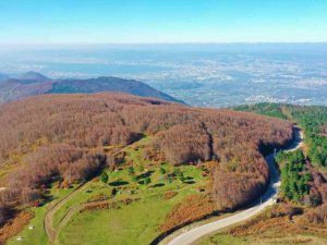 Bir yanda güneş, zirvede kar, ağaçlarda sonbaharın renkleri
