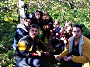 OMÜ’de uygulamalı eğitimde hasat zamanı