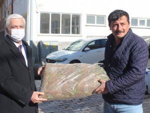 Tavşanlı’da 21 çiftçiye 170 bin çilek fidesi