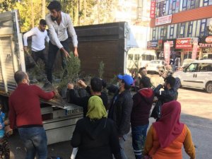 Kahta’da 20 bin fidan dağıtıldı