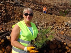 Yabancılar bağışladı, gönüllüler dikti