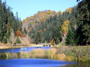 Sinop ve Kastamonu arasında paylaşılamayan güzellik: Akgöl
