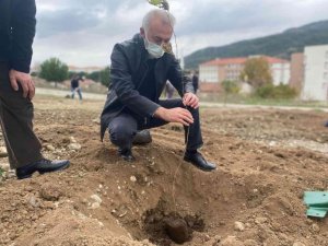 Başkan ve personeli fidan dikti