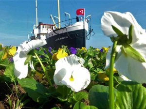 Samsun kışın da çiçek bahçesi