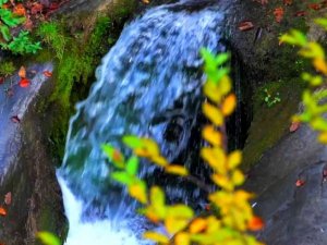Yılançatı Kanyonu’nda sonbahar güzelliği