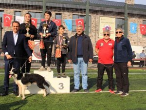 Ümraniye’de düzenlenen “Köpekli Frizbi Yarışması” renkli görüntülere sahne oldu