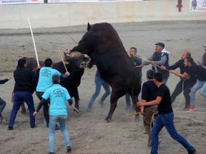 Güreşlerin geliri kimsesiz çocuklara
