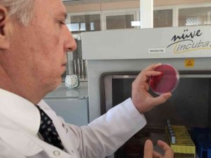 2 saatten fazla kullanılan maskeleri laboratuvarda inceledi gördüklerine inanamadı