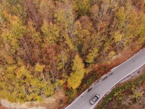 Zonguldak ormanlarındaki hazan renkleri havadan görüntülendi