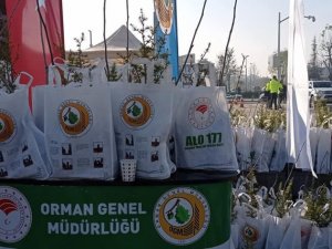 İlkokul öğrencileri geleceklerine adım attılar