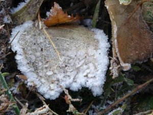 Ardahan’da sıcaklık eksi 9 dereceyi gördü