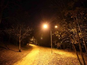 Döngel Vadisi Millet Bahçesi aydınlatıldı