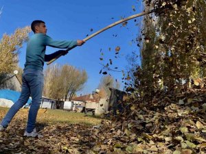 Sararan yapraklar toprakla buluştu
