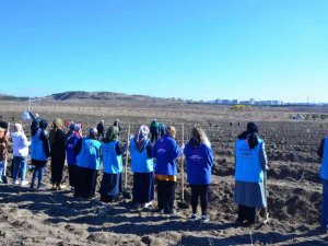 Türkiye Diyanet Vakfı 11 ilde 305 bin 500 fidanı toprakla buluşturdu